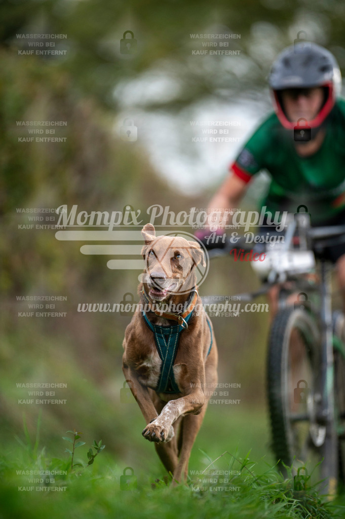 TSB_2023_E8_Bike-87 | PayLife
