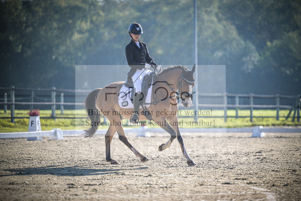 DOS_1317 | Entdecke hochwertige Reitturnierfotos von Foto Oger. Professionell, emotional und authentisch – jetzt Lieblingsmomente im Shop bestellen.Deutschlandweite Turnierfotografie. - Realisiert mit Pictrs.com
