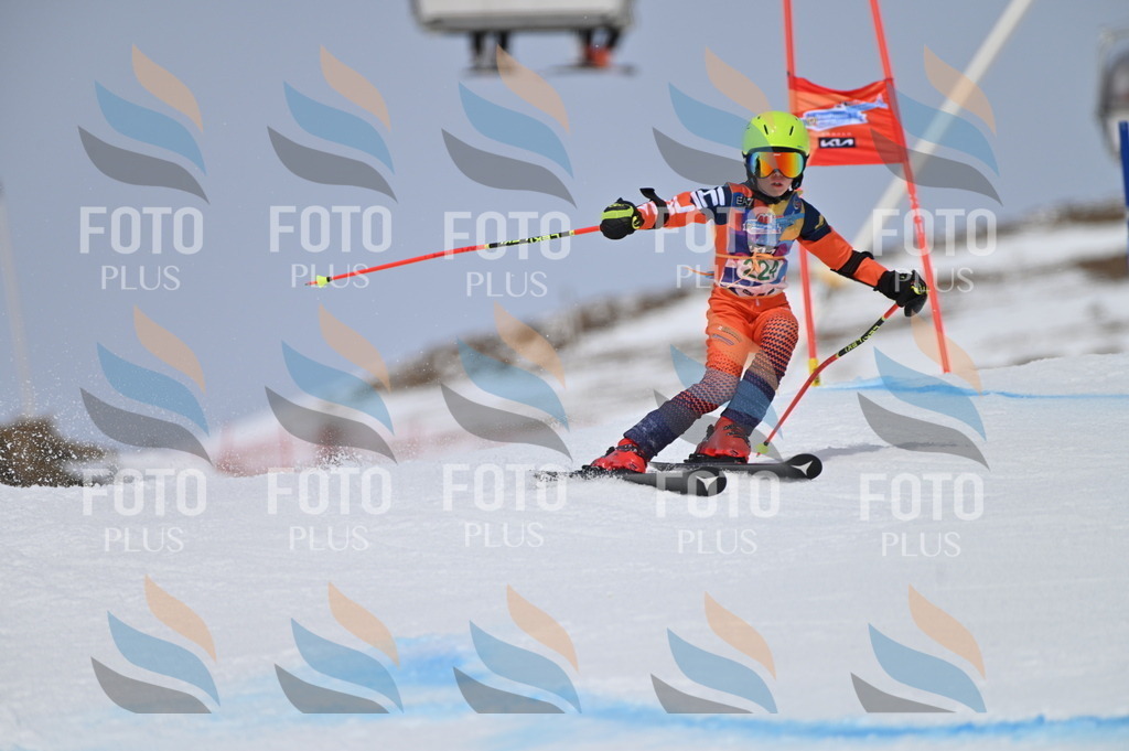 BGV_4404 | holidayphoto