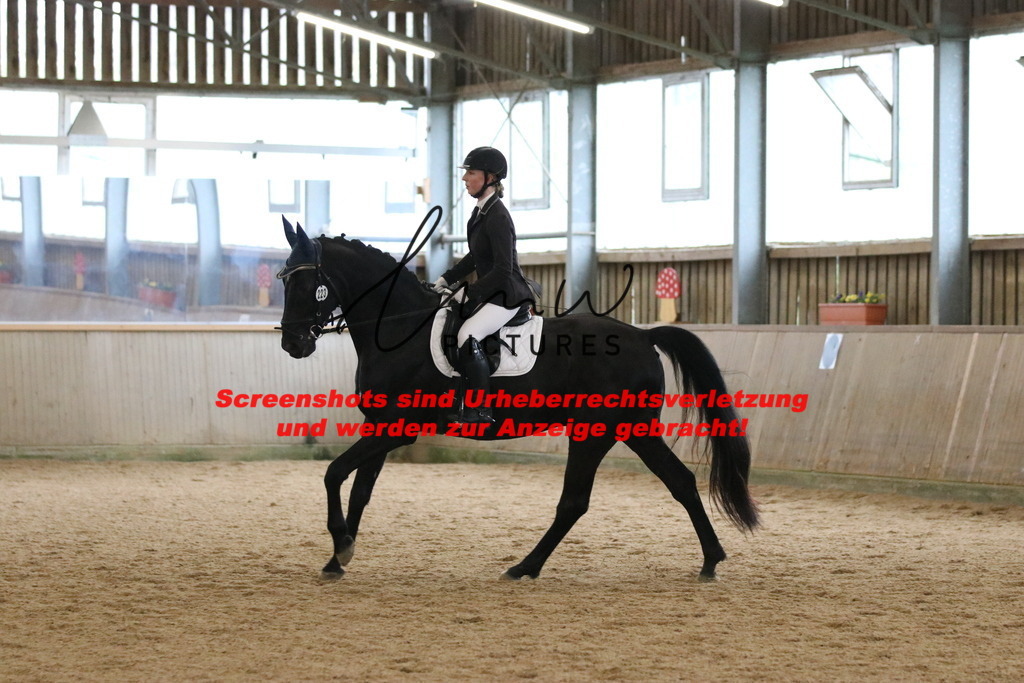 IMG_6716 | lmwpictures - Realisiert mit Pictrs.com