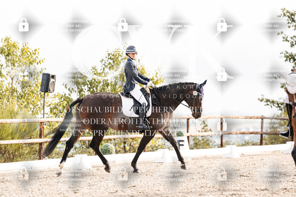 CK900392 | Turnierfotografie Pferdefotografie Trier Rheinland-Pfalz Pferdesport Reitsport Tierfotografie Sportfotografie Pferdevideo Pferdevideografie Equestrianvideography equestrianphotography  - Realisiert mit Pictrs.com