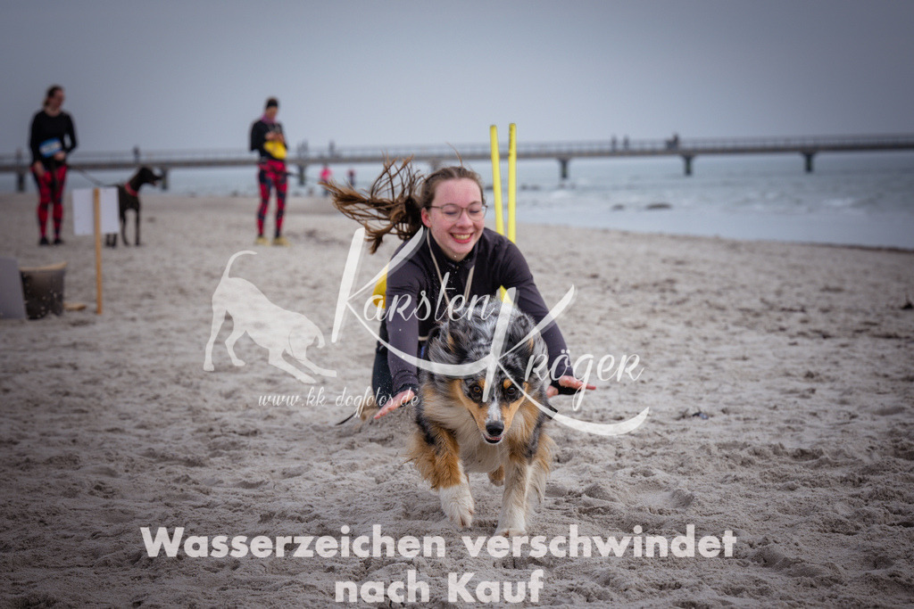 1150_ZZ90953 | kk-dogfotos