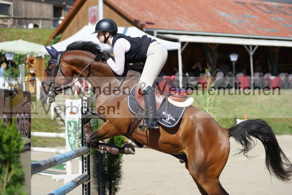 DSC02387 | equestrian-live-com