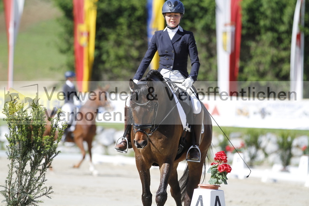_MG_2906 | equestrian-live-com
