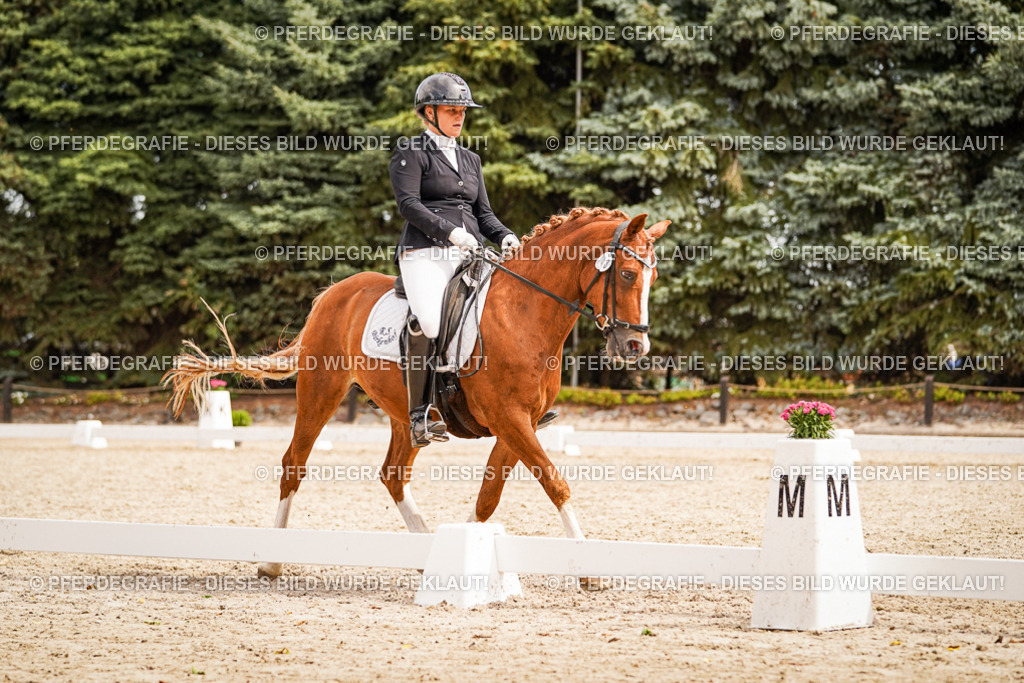 DSC02056 | Pferdegrafie