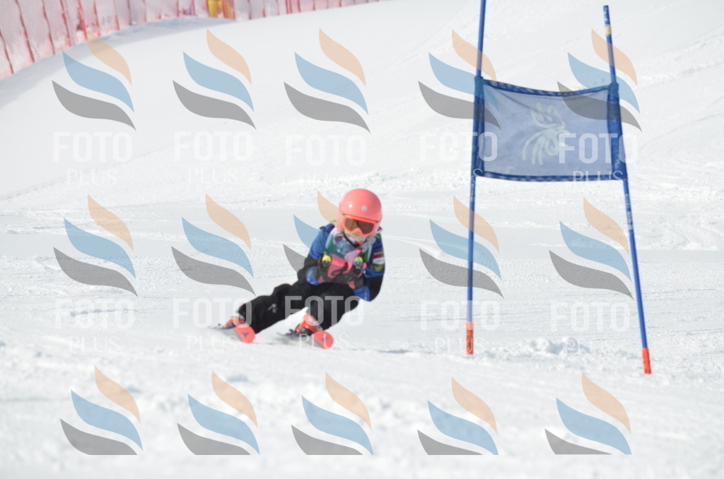 D8572 | holidayphoto