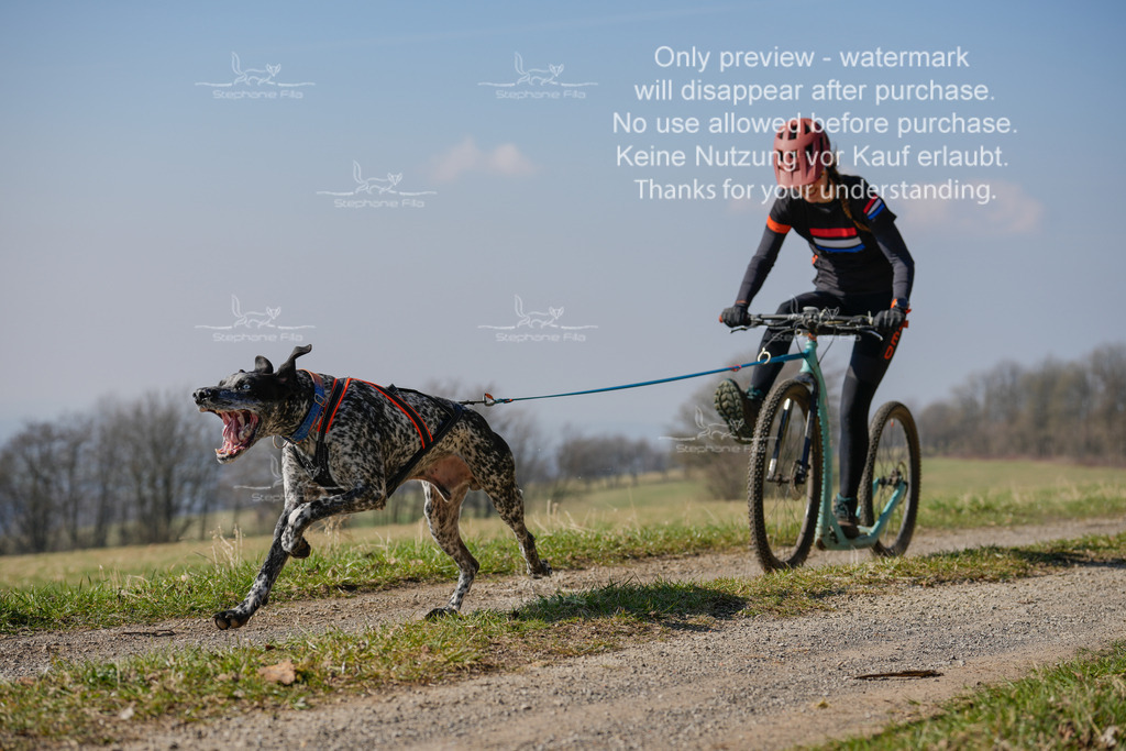 Scooter_Lang-69 | stephaniefillaphotographie - Realisiert mit Pictrs.com