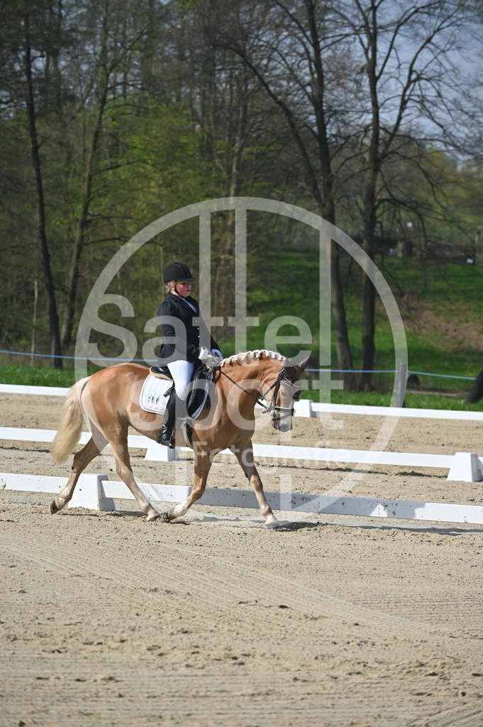 DSC_0350 | sattelsport - Realisiert mit Pictrs.com