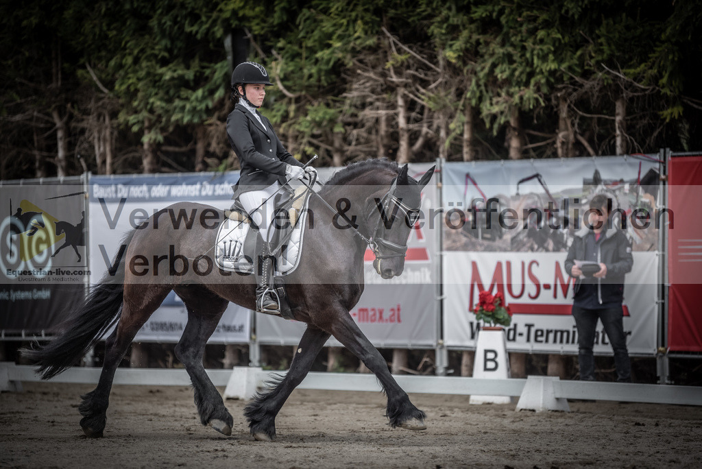 DSC_3156 | equestrian-live-com