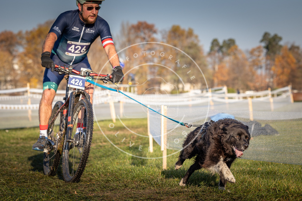 CaniXpix_0L8A4234 | Hundefotografie, Tierfotograf, Pfotenfotografie, Fotoshooting Hund, Hunde Portrait, Hundesport, Hundeportraits, Heideshooting, Hunde, Sportfotograf, Hundefotograf, Turnierhundsport, THS,  - Realisiert mit Pictrs.com