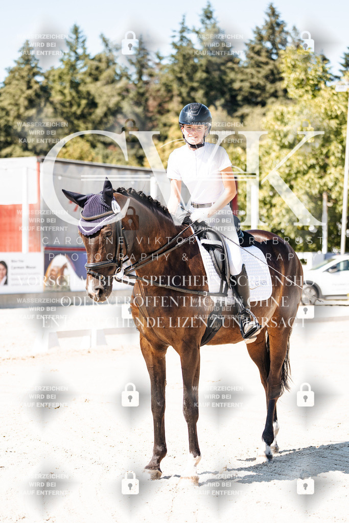 CK902376 | Turnierfotografie Pferdefotografie Trier Rheinland-Pfalz Pferdesport Reitsport Tierfotografie Sportfotografie Pferdevideo Pferdevideografie Equestrianvideography equestrianphotography  - Realisiert mit Pictrs.com