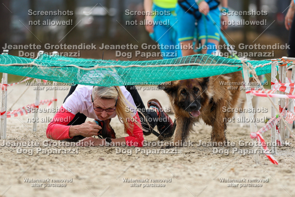 Dog Paparazzi - Strongdog North Mrz26-5700 | Dog Paparazzi Jeanette Grottendiek Fotografie & Videografie - Realisiert mit Pictrs.com