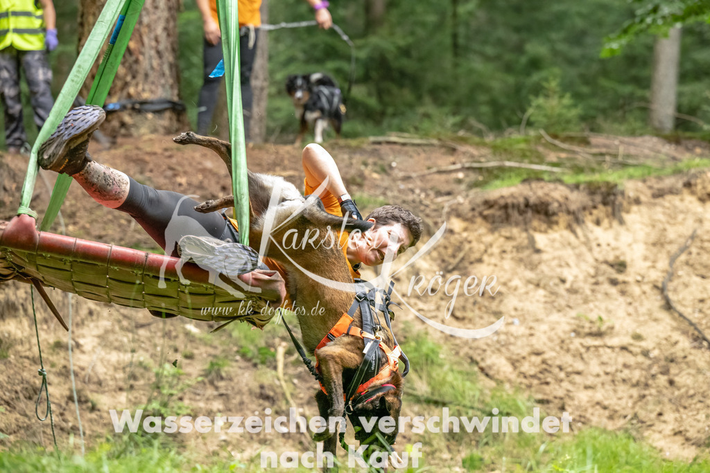 1150_ZZ90758-Bearbeitet | kk-dogfotos