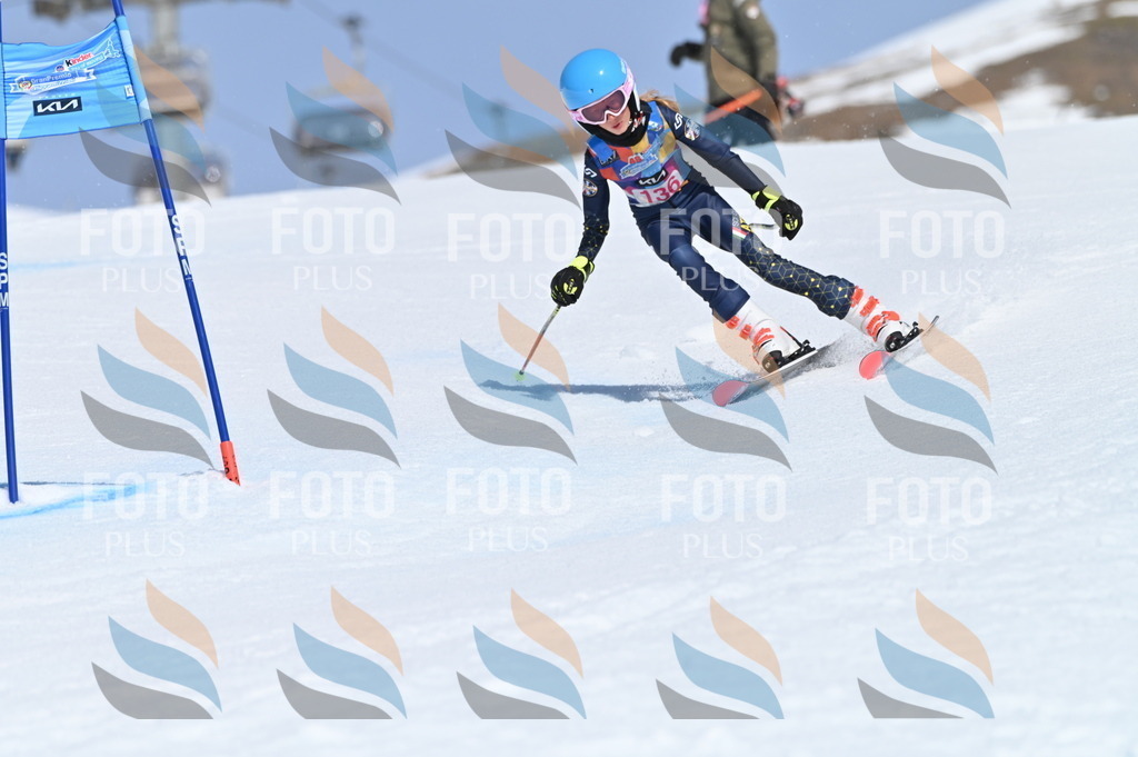 BGV_0068 | holidayphoto