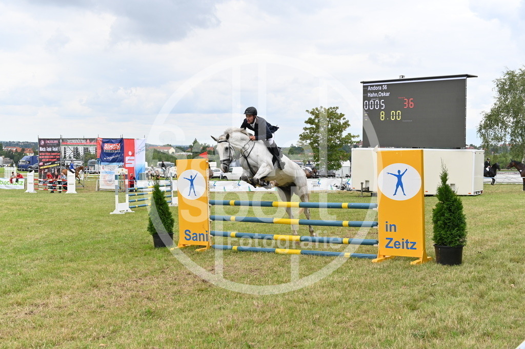 DSC_3377 | sattelsport - Realisiert mit Pictrs.com