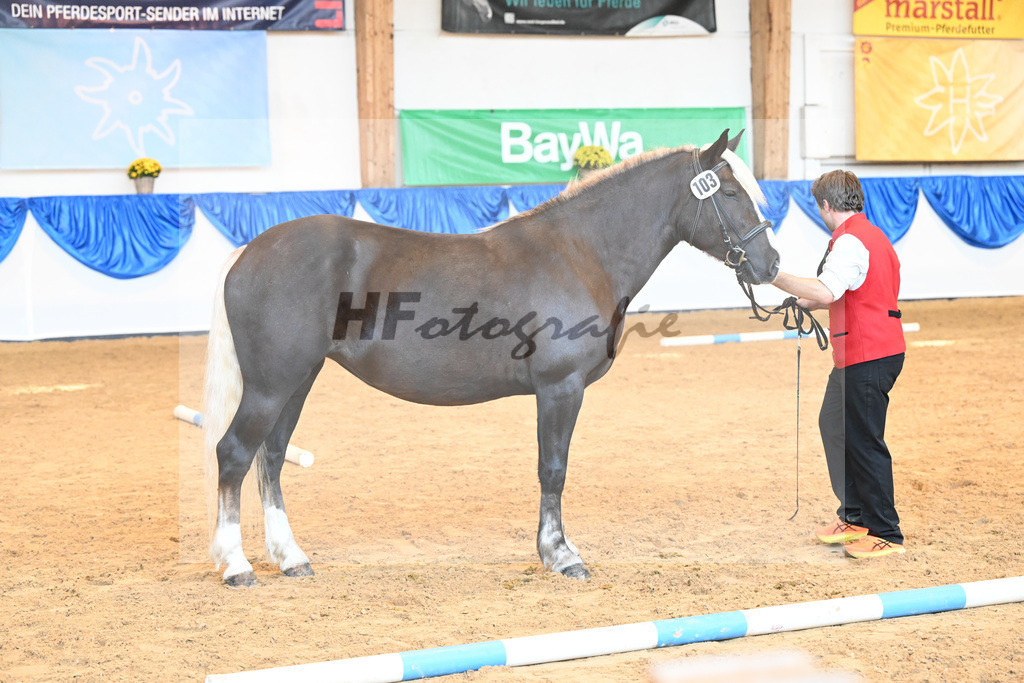 Kat-Nr. 103 F-Mathilda_ZG Heeres-Draeger_53220721 | hf-fotografie - Realizzato con Pictrs.com