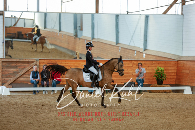 _62_7876 | Turniersportfotografie; Pferdefotografie; Dressurfotografie