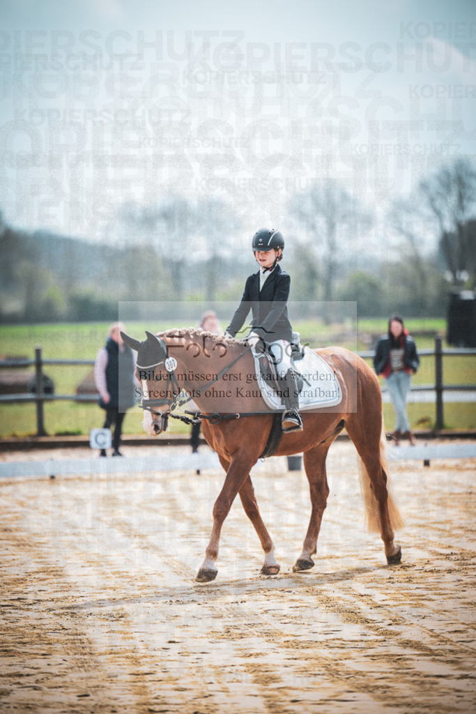 DOS_5096 | Entdecke hochwertige Reitturnierfotos von Foto Oger. Professionell, emotional und authentisch – jetzt Lieblingsmomente im Shop bestellen.Deutschlandweite Turnierfotografie. - Realisiert mit Pictrs.com