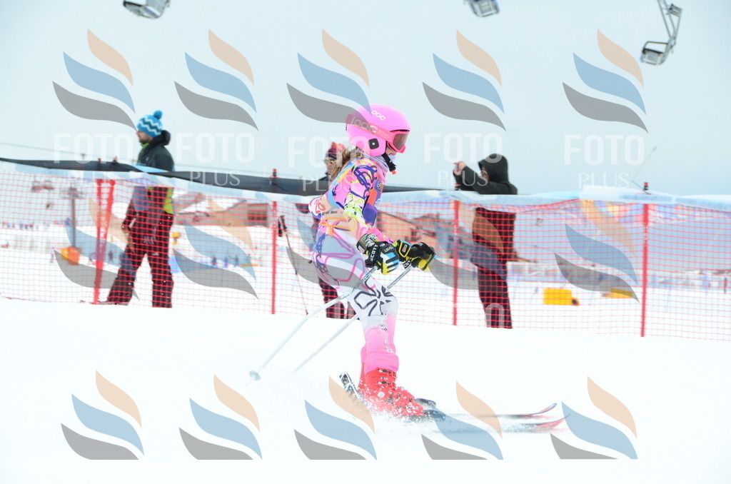 DSC_0804 | holidayphoto