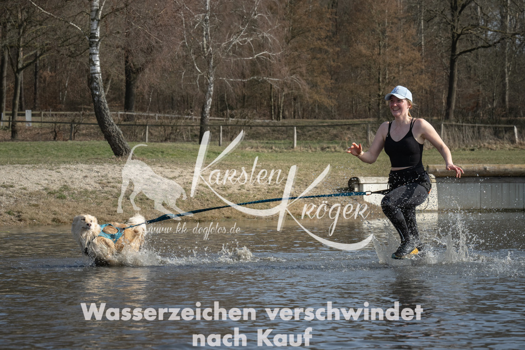 1306_ZZ94666 | kk-dogfotos