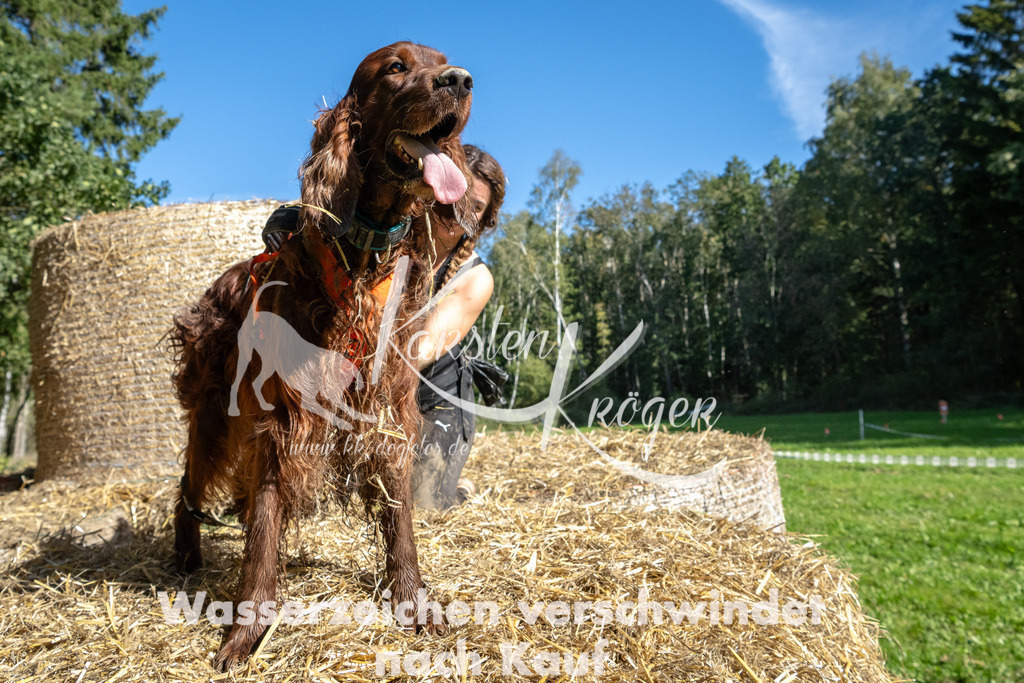 1205_ZZ90204-2 | kk-dogfotos