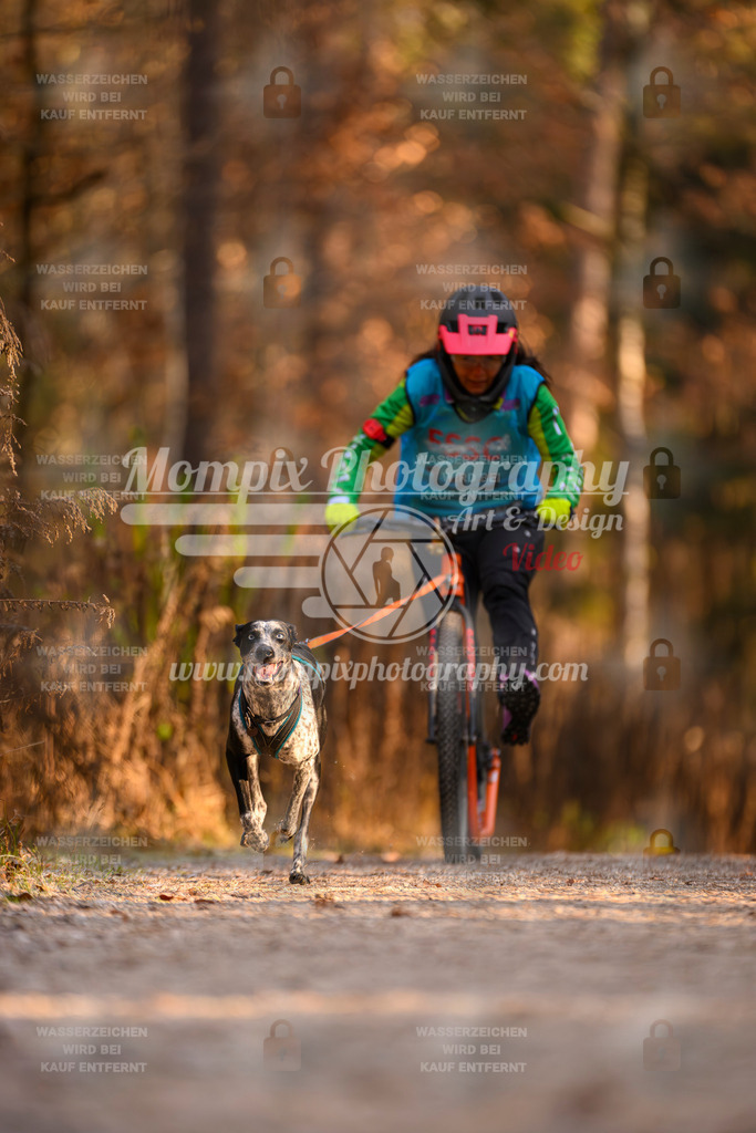 MompixPhotography_DM_AKDM_SO_2025_Scooter-200 | PayLife