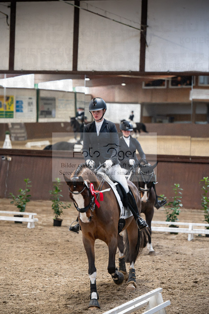 Hallenreittunier Voxtrup 2023 | Entdecke hochwertige Reitturnierfotos von Foto Oger. Professionell, emotional und authentisch – jetzt Lieblingsmomente im Shop bestellen.Deutschlandweite Turnierfotografie. - Realisiert mit Pictrs.com