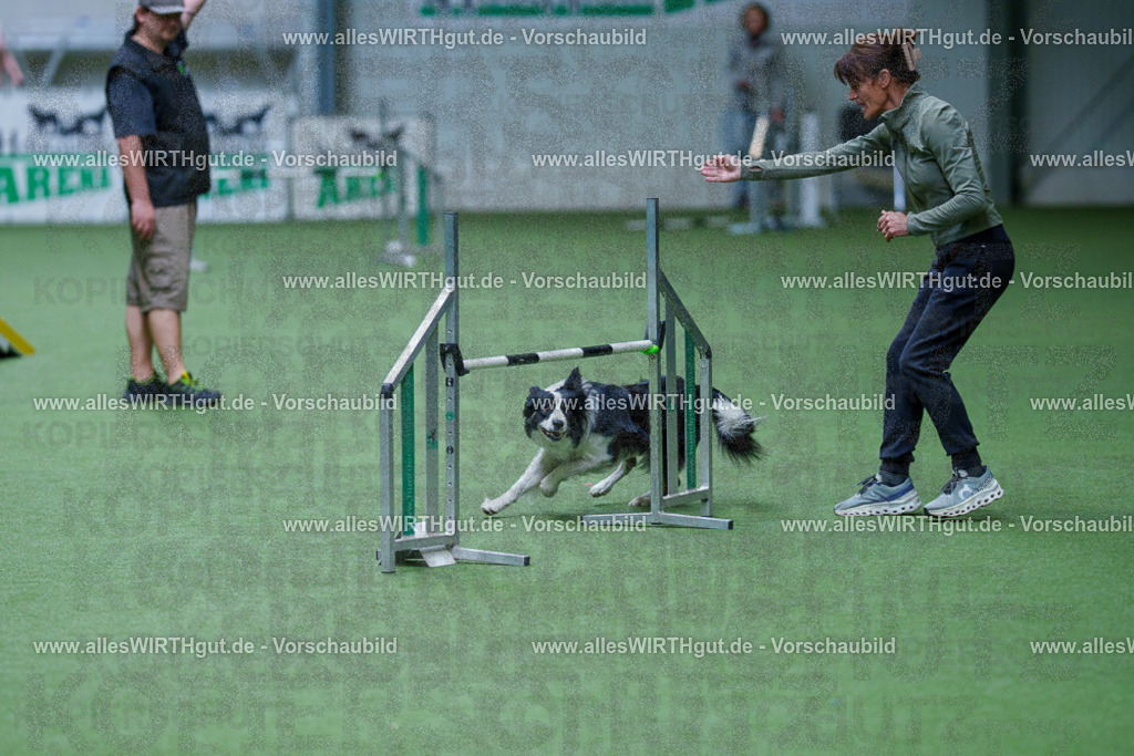 @allesWIRTHgut_Tierfotografie - www.allesWIRTHgut.de - 2604260931-7R508003 | Professionelle Tierfotografie in Mönchengladbach von Daniel Wirth (allesWIRTHgut). Liebevolle & natürliche Bilder von Hunden & Katzen für unvergessliche Erinnerungen.