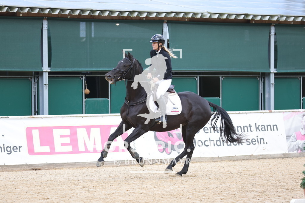 0P6A2227 | Willkommen bei Brunnmayr - Design & Fotografie – Ihrem Spezialisten für Reitturniere und Pferdeveranstaltungen in Oberösterreich, Salzburg und Bayern! Seit über 17 Jahren sind wir leidenschaftlich dabei.