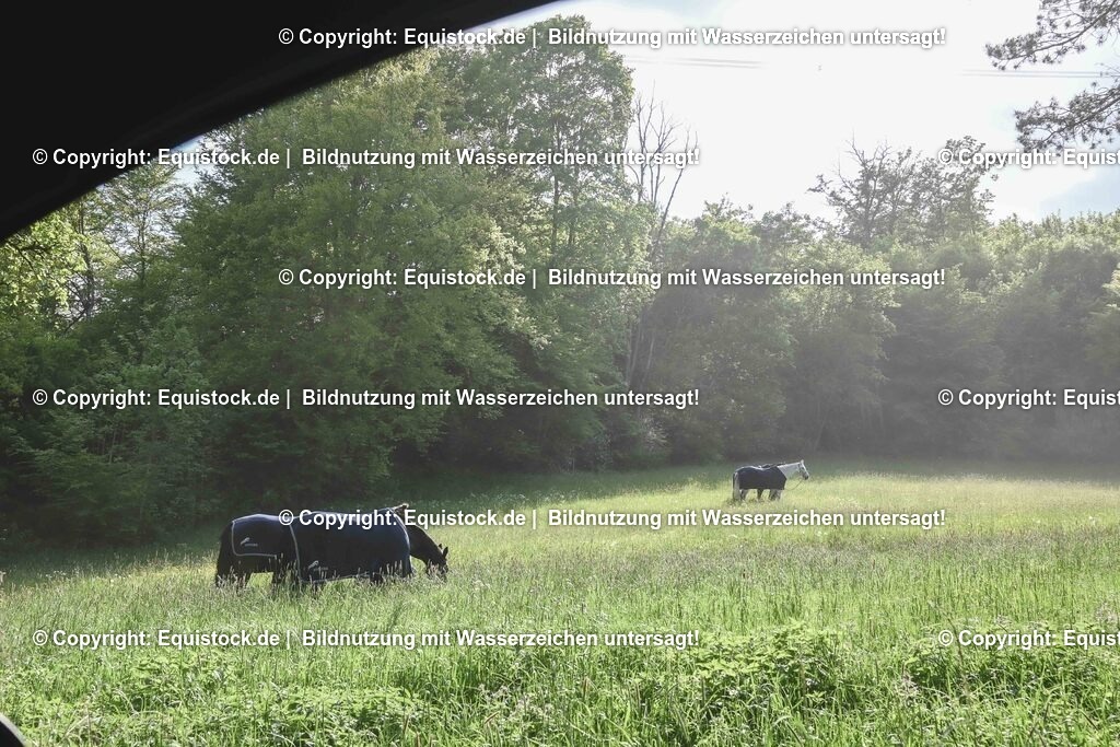 20250517_Impressionen_0098 | Foto: Thomas Hartig