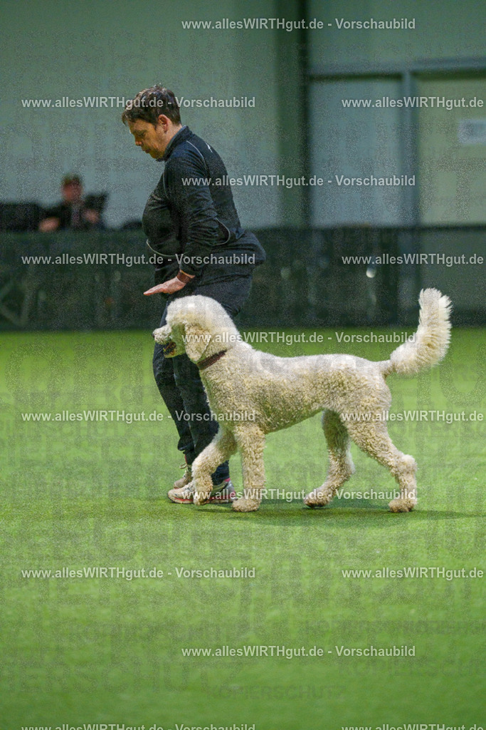 7R505562 | Professionelle Tierfotografie in Mönchengladbach von Daniel Wirth (allesWIRTHgut). Liebevolle & natürliche Bilder von Hunden & Katzen für unvergessliche Erinnerungen.