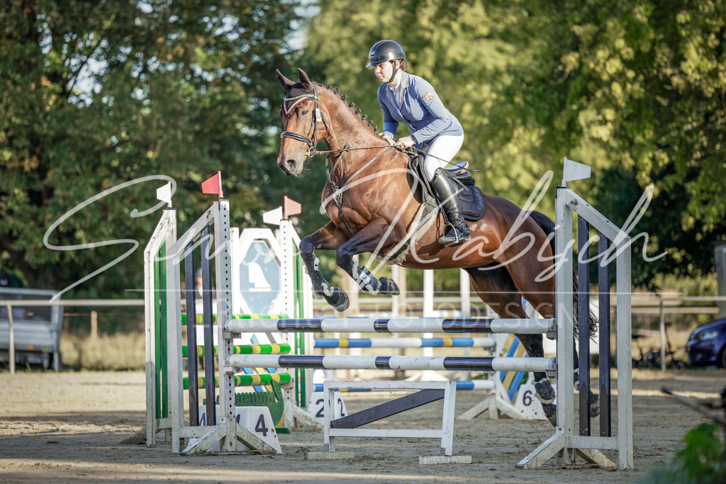 20250906-_3LI2971 | Tierfotografie Pferde, Hunde, Katzen, Haustiere.
Turnierfotografie Reitturniere, Reiten, Springreiten, Dressur in Hanau, dem Main-Kinzig-Kreis und dem Rhein-Main- Gebiet um Frankfurt