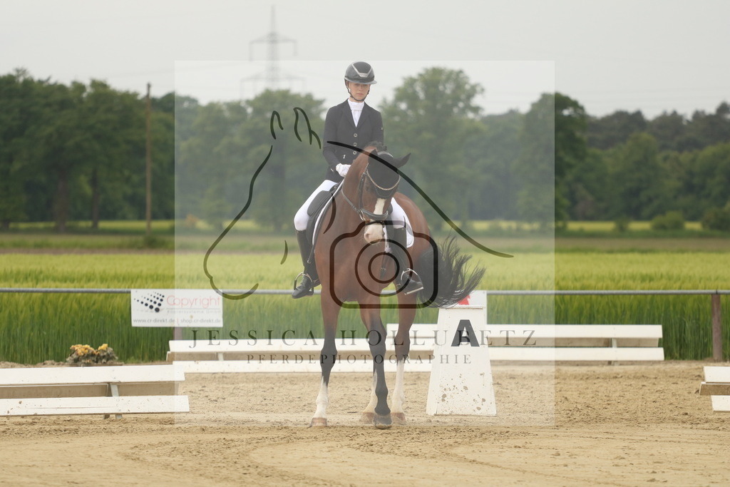 IMG_6542 | jessicahollubetz_pferdephotographie - Realisiert mit Pictrs.com