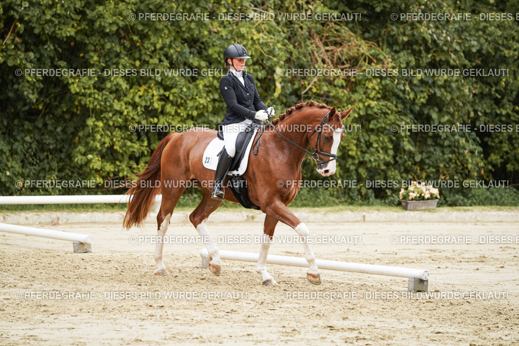 DSC00240 | Pferdegrafie