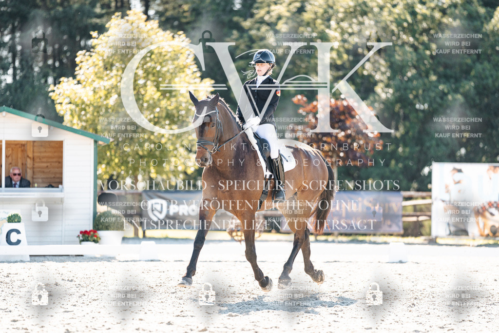 CK905696 | Turnierfotografie Pferdefotografie Trier Rheinland-Pfalz Pferdesport Reitsport Tierfotografie Sportfotografie Pferdevideo Pferdevideografie Equestrianvideography equestrianphotography  - Realisiert mit Pictrs.com