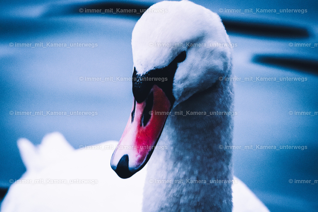 20240108095955_IMG_4167 | immer_mit_kamera_unterwegs