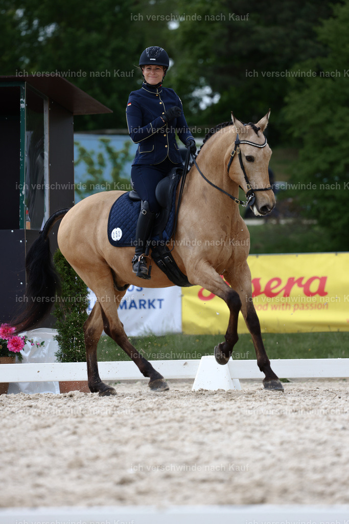 PI26_DR_252_StoibphotographyC2_L7315A.jpg | working equitationturnier fotograf videograf stoibphotography marixx film working equitation deutschland reitsport turnierfotografie eventfotografie equestrian events