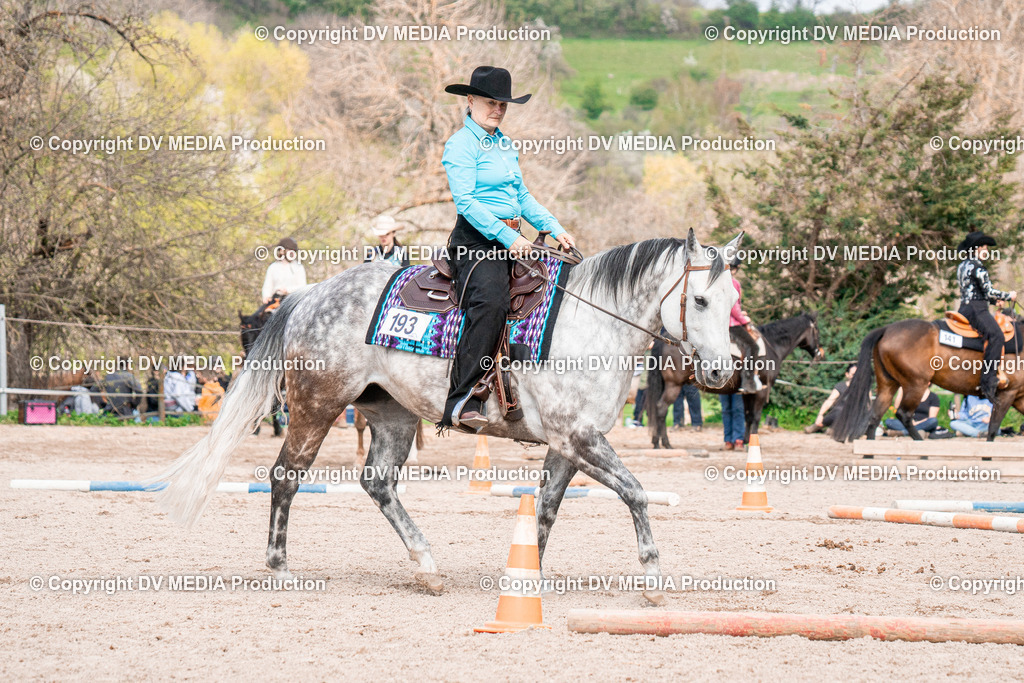 BAL02753 | dv-media-shop - Realisiert mit Pictrs.com