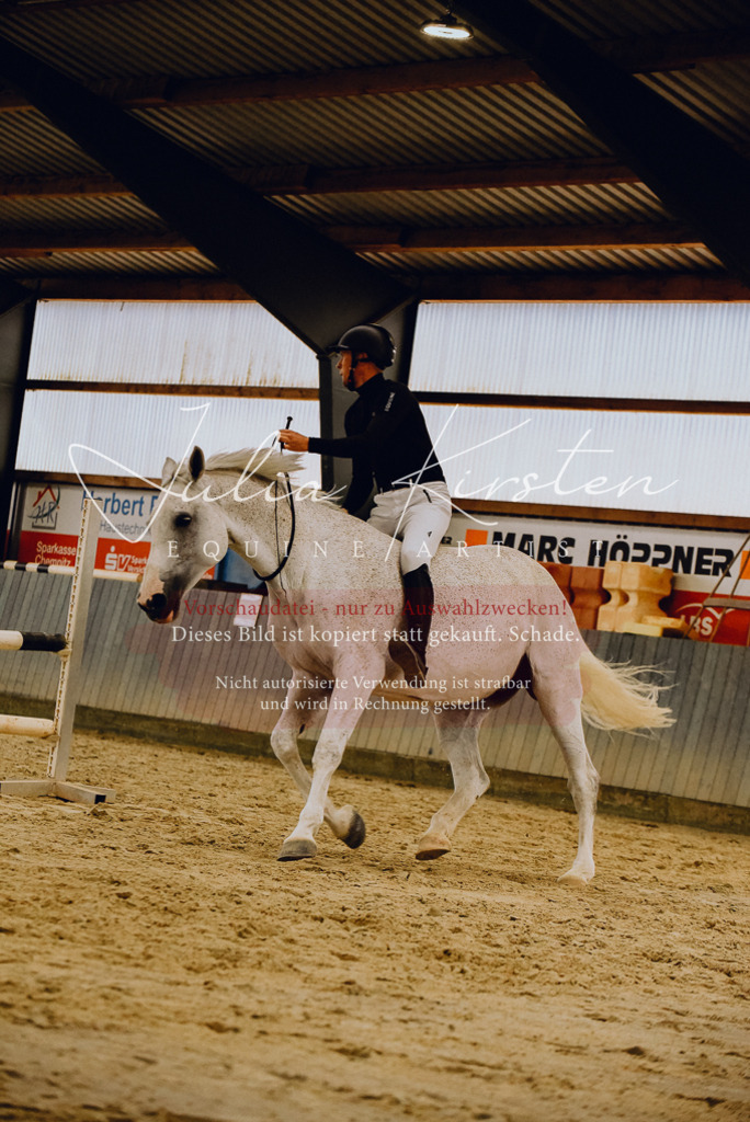 DSC_6991 | Pferde- und Turnierfotografie in Westsachsen. Pferdeportraits, Auftragszeichnungen und intuitive Kunst.
