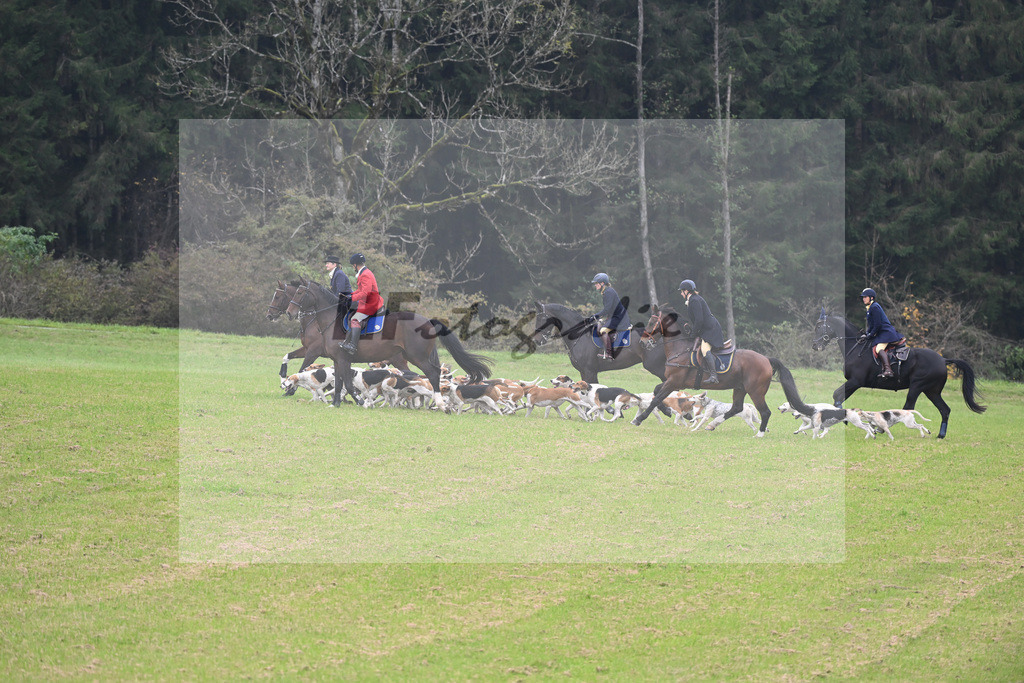 5622093 | hf-fotografie - Realisiert mit Pictrs.com