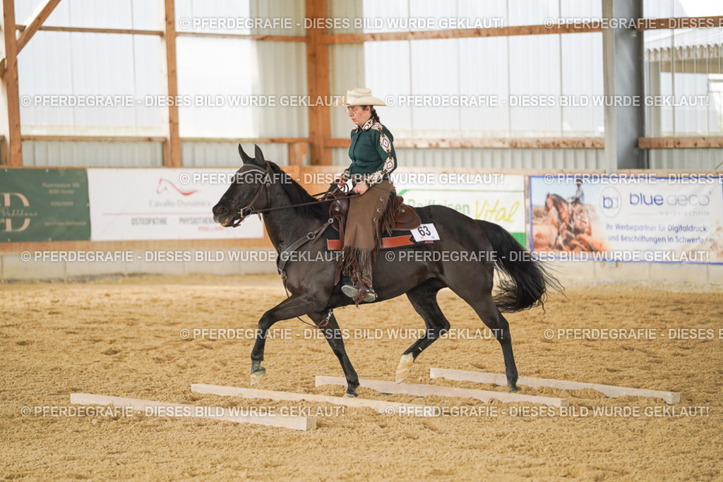 DSC05006 | Pferdegrafie