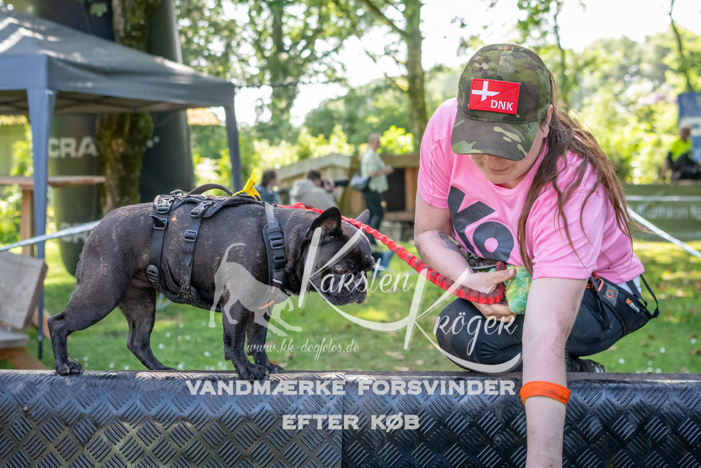 1537_ZZ92009 | kk-dogfotos