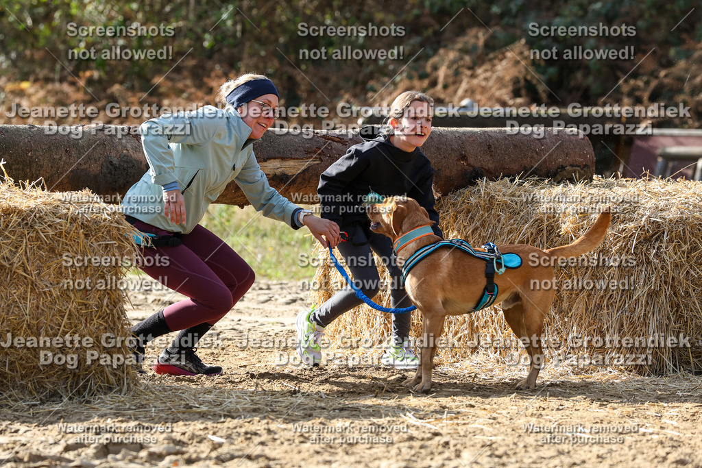 Dog Paparazzi - Strongdog 10-25-5933 | Dog Paparazzi Jeanette Grottendiek Fotografie & Videografie - Realisiert mit Pictrs.com