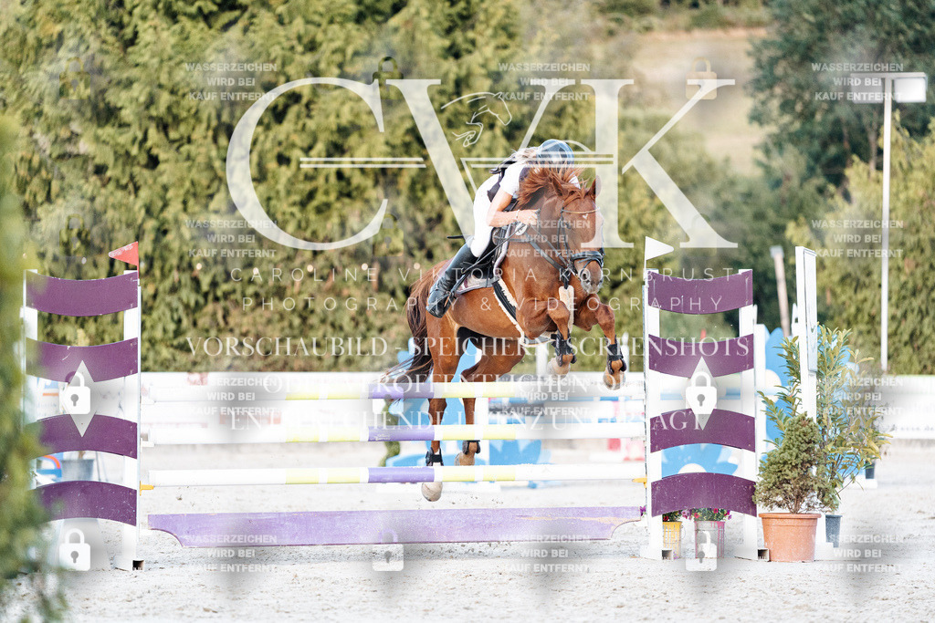 CK901397 | Turnierfotografie Pferdefotografie Trier Rheinland-Pfalz Pferdesport Reitsport Tierfotografie Sportfotografie Pferdevideo Pferdevideografie Equestrianvideography equestrianphotography  - Realisiert mit Pictrs.com