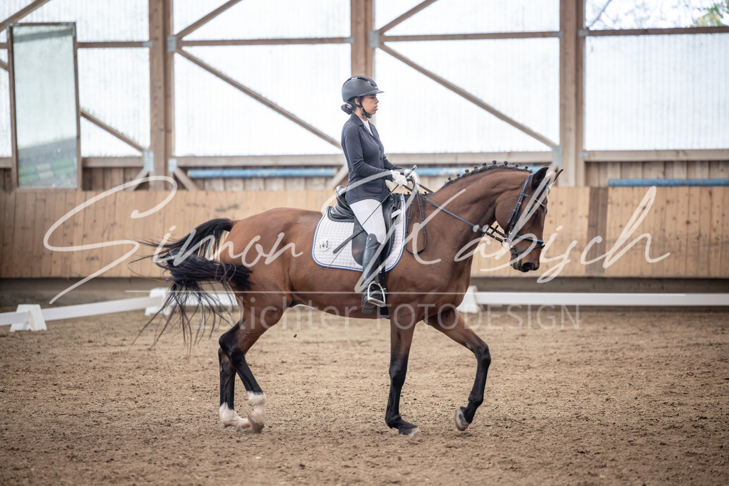 20251011-_3LI0426 | Tierfotografie Pferde, Hunde, Katzen, Haustiere.
Turnierfotografie Reitturniere, Reiten, Springreiten, Dressur in Hanau, dem Main-Kinzig-Kreis und dem Rhein-Main- Gebiet um Frankfurt
