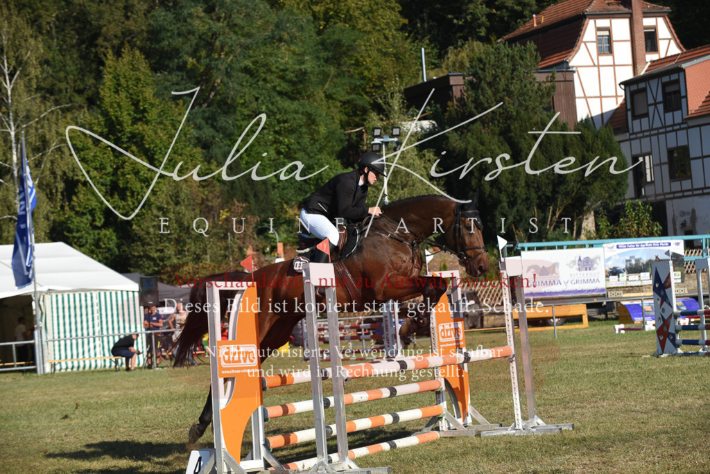 DSC_5189 | Pferde- und Turnierfotografie in Westsachsen. Pferdeportraits, Auftragszeichnungen und intuitive Kunst.