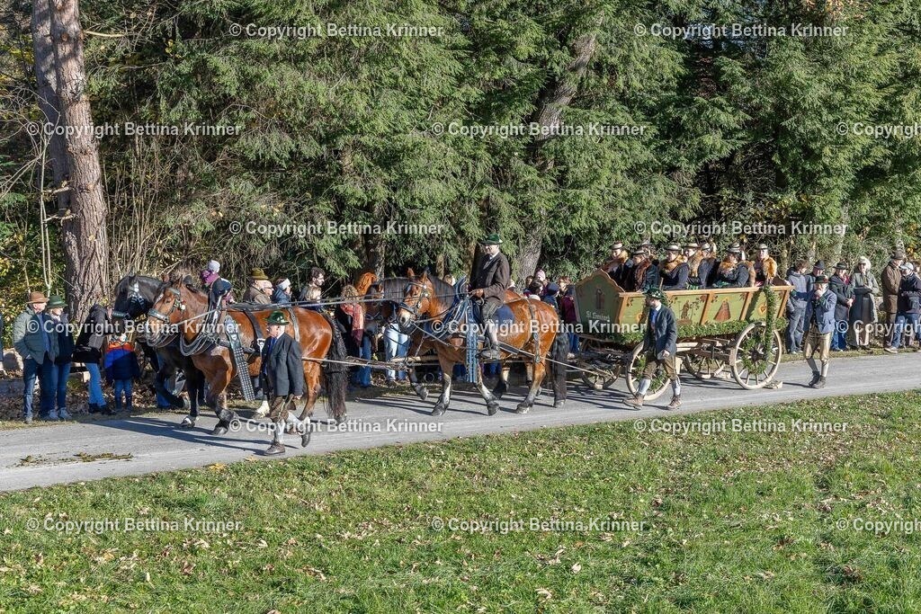 LBT25-167 | foto-bettina-krinner - Realisiert mit Pictrs.com