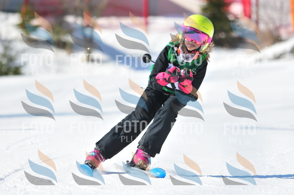 C2741 | holidayphoto