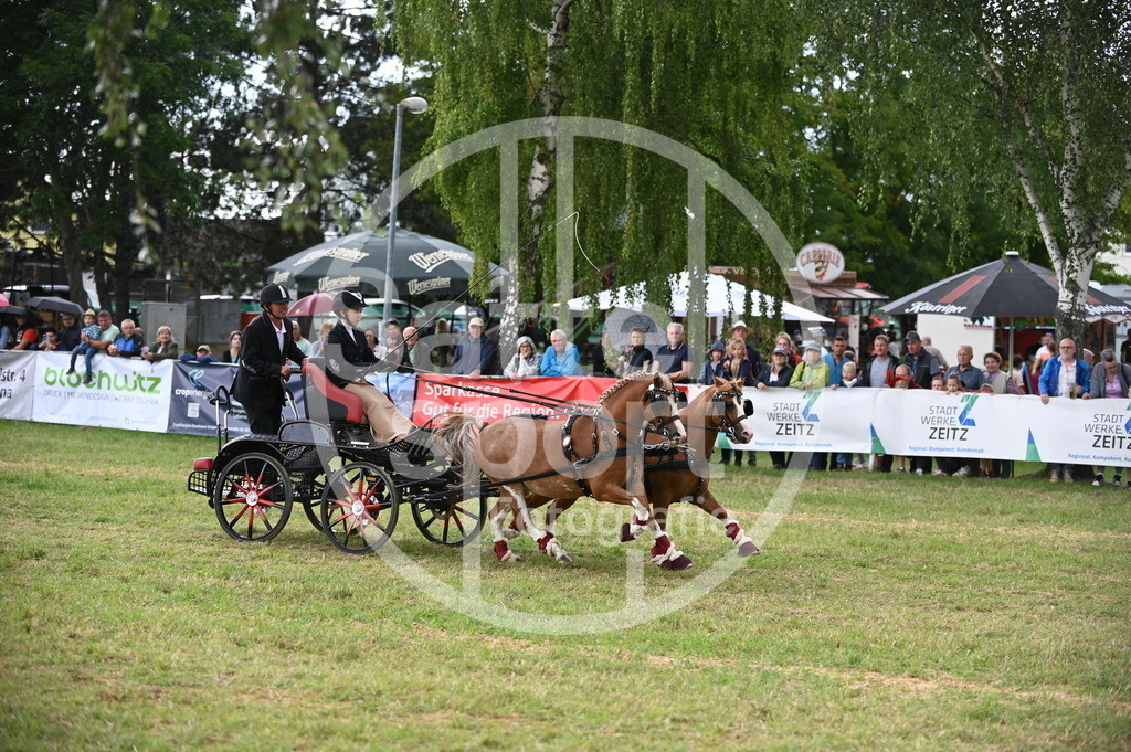 DSC_8658 | sattelsport - Realisiert mit Pictrs.com