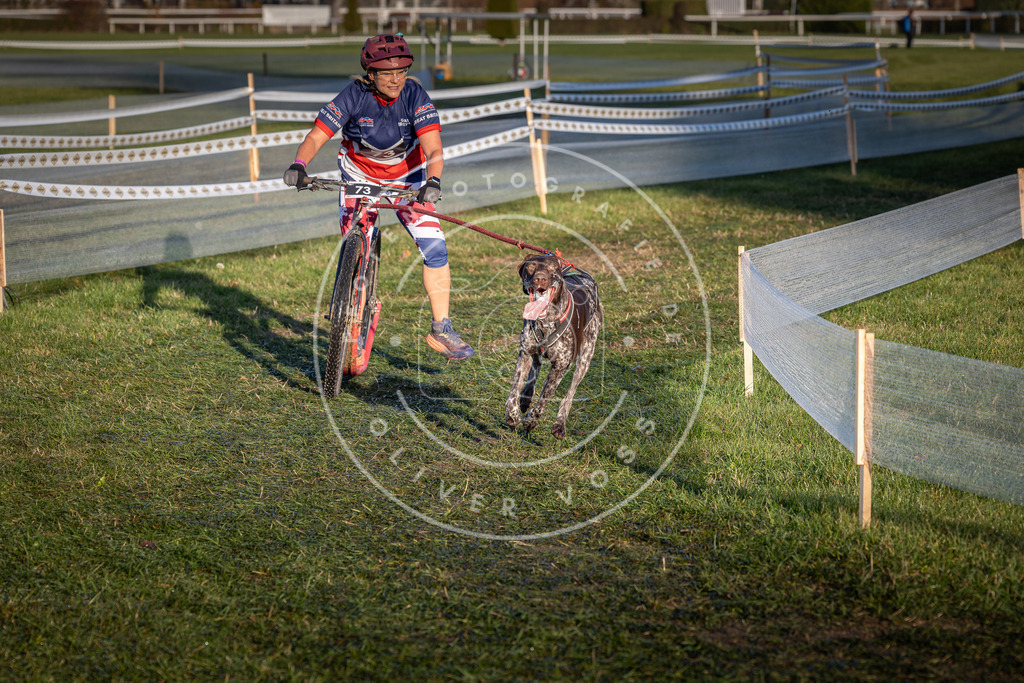 CaniXpix_0L8A3557 | Hundefotografie, Tierfotograf, Pfotenfotografie, Fotoshooting Hund, Hunde Portrait, Hundesport, Hundeportraits, Heideshooting, Hunde, Sportfotograf, Hundefotograf, Turnierhundsport, THS,  - Realisiert mit Pictrs.com